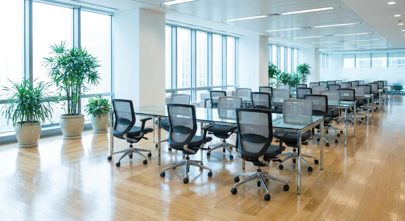 Modern commercial office interior